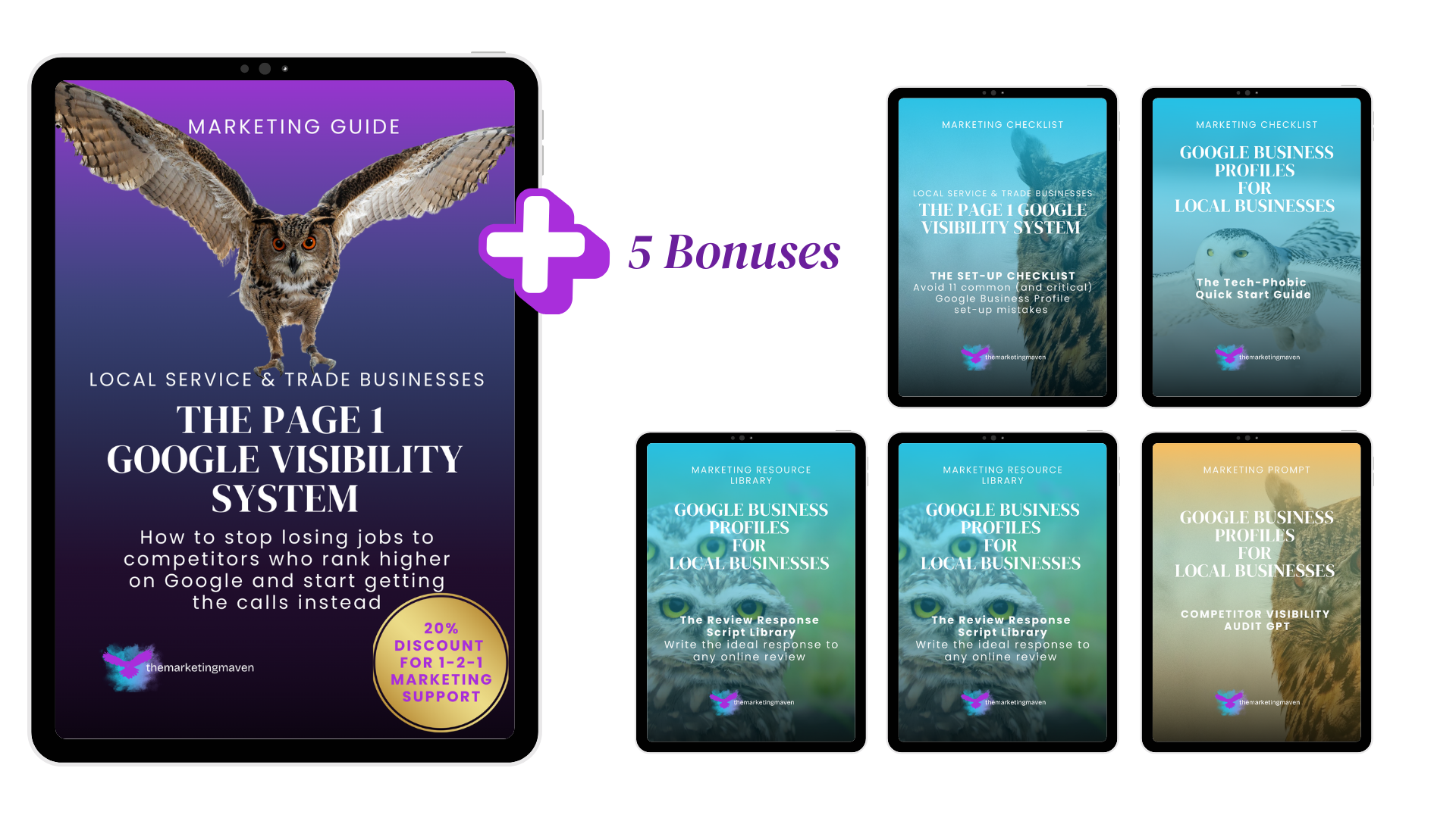 Page 1 Google Visibility System for Local Businesses