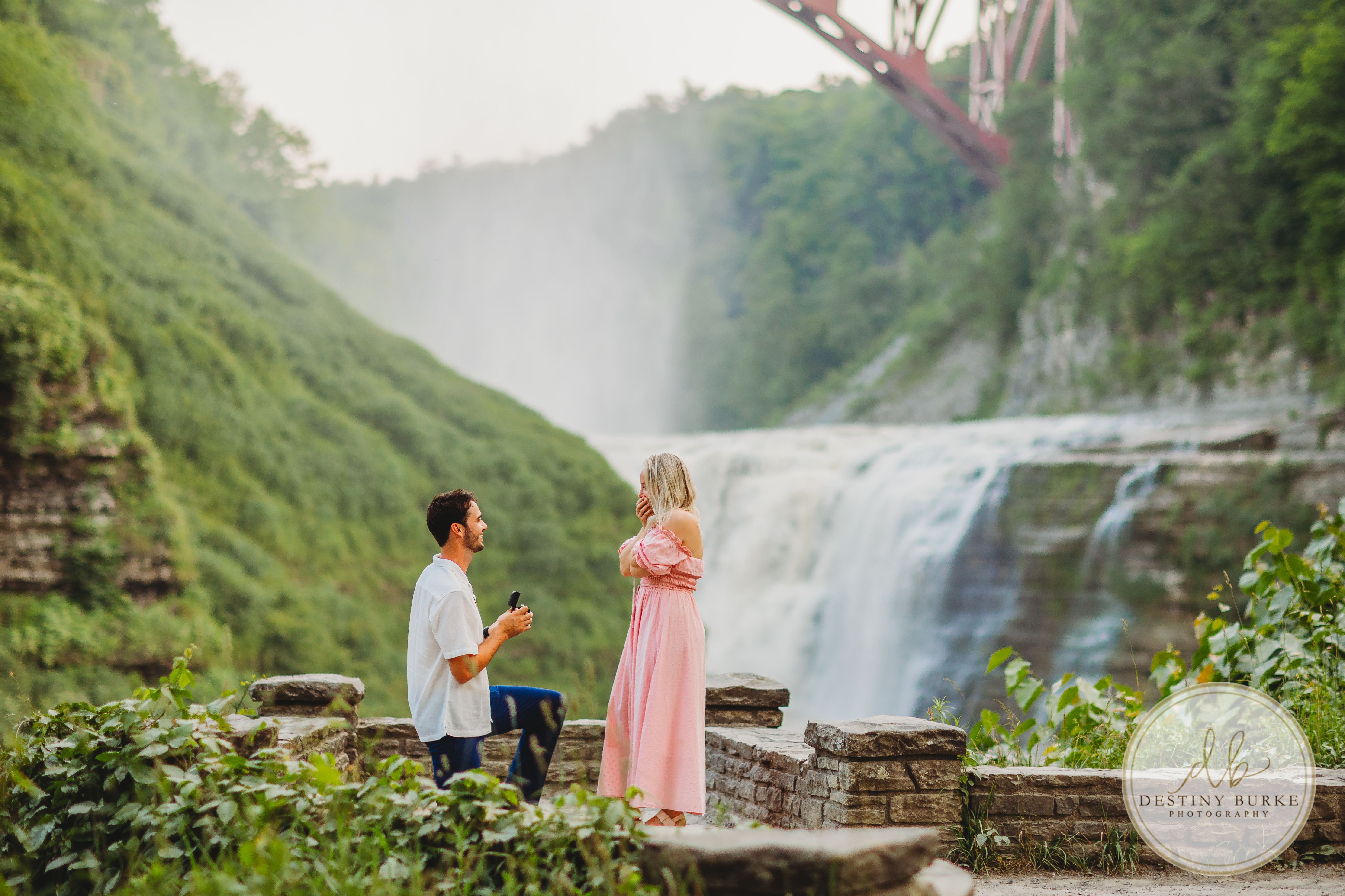 best engagement photographer near rochester ny surprise proposal letchworth waterfalls state park